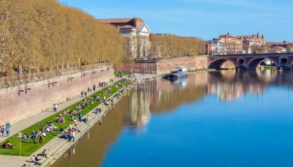 L 'Emeraude Toulousaine Toulouse Appartement